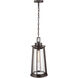 Bolling 1 Light 9.5 inch Powder Coated Bronze Outdoor Hanging Lantern